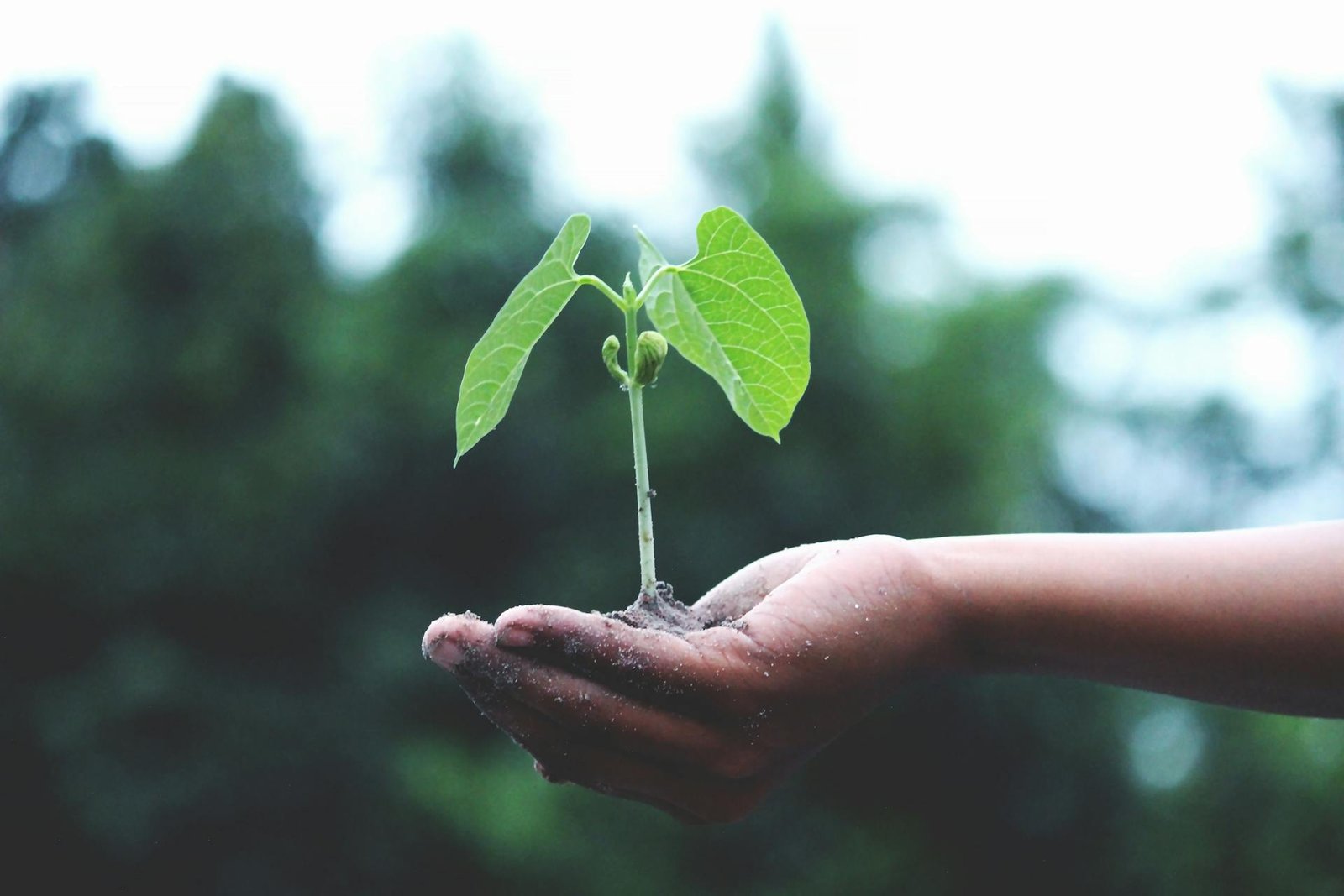 sustainable travel hacks for 2025